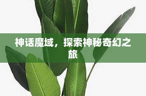 神话魔域,探索神秘奇幻之旅 神话魔域,探索神秘奇幻之旅