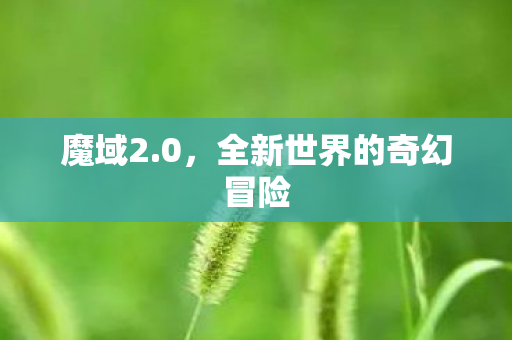 魔域2.0，全新世界的奇幻冒险
