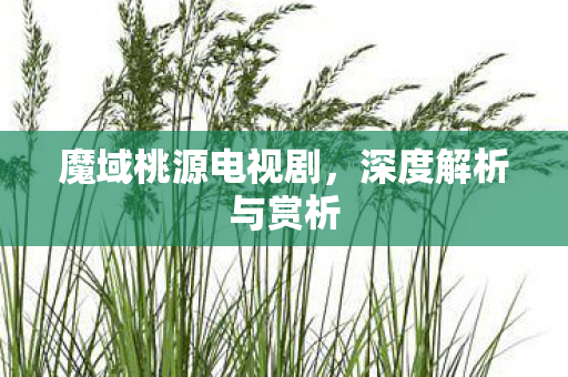 魔域桃源电视剧,深度解析与赏析 魔域桃源电视剧,深度解析与赏析