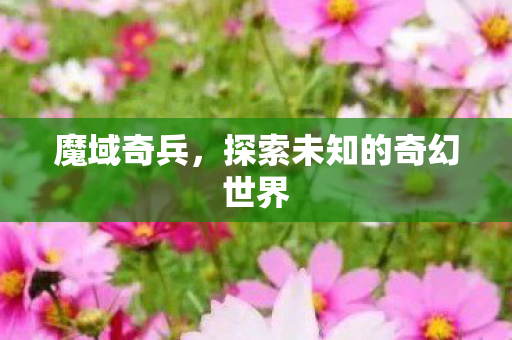 魔域奇兵，探索未知的奇幻世界