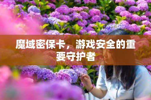 魔域密保卡，游戏安全的重要守护者