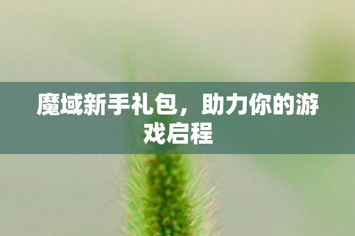 魔域新手礼包，助力你的游戏启程