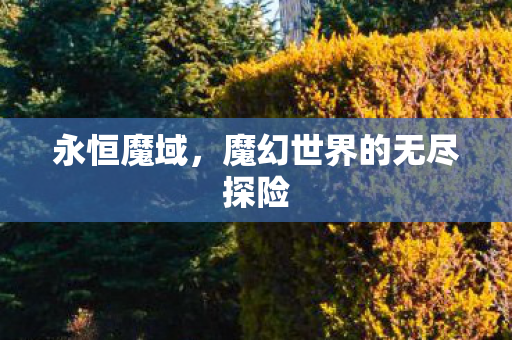 永恒魔域，魔幻世界的无尽探险
