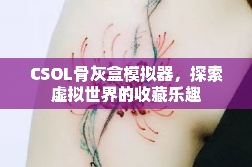 CSOL骨灰盒模拟器，探索虚拟世界的收藏乐趣