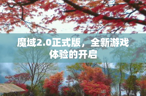 魔域2.0正式版，全新游戏体验的开启