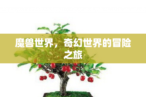 魔兽世界,奇幻世界的冒险之旅 魔兽世界,奇幻世界的冒险之旅
