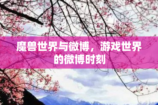 魔兽世界与微博，游戏世界的微博时刻