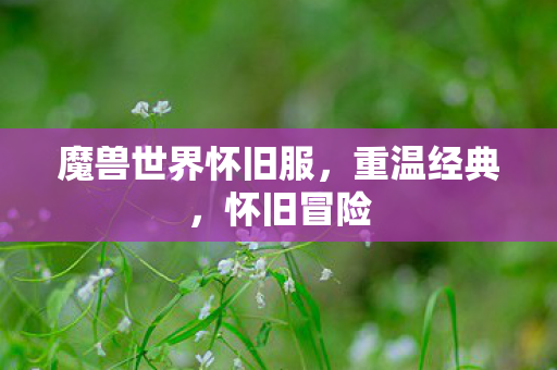 魔兽世界怀旧服，重温经典，怀旧冒险
