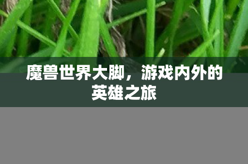魔兽世界大脚，游戏内外的英雄之旅