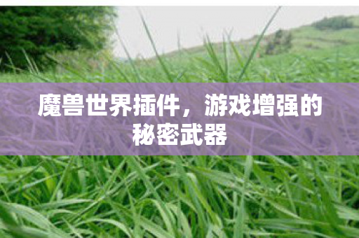 魔兽世界插件，游戏增强的秘密武器