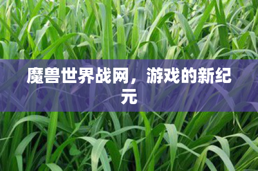 魔兽世界战网，游戏的新纪元