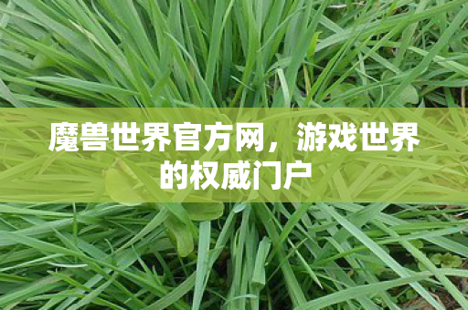 魔兽世界官方网，游戏世界的权威门户