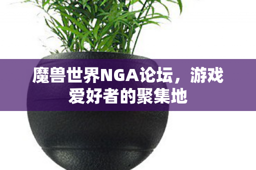 魔兽世界NGA论坛，游戏爱好者的聚集地