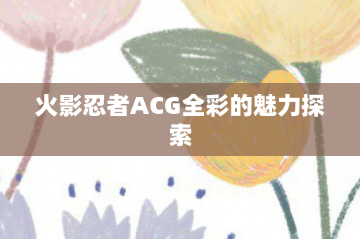 火影忍者ACG全彩的魅力探索