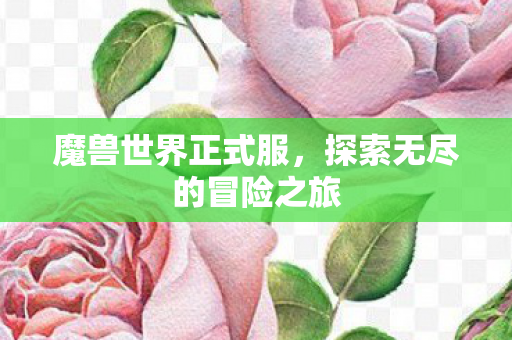 魔兽世界正式服，探索无尽的冒险之旅