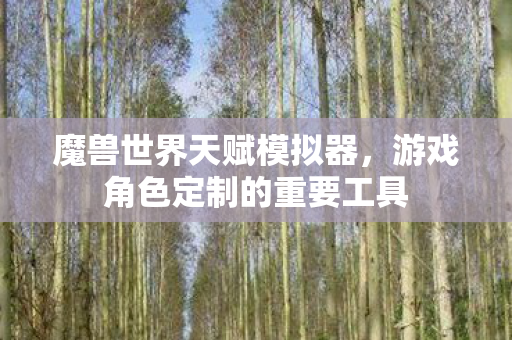 魔兽世界天赋模拟器，游戏角色定制的重要工具