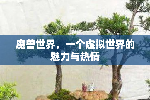 魔兽世界，一个虚拟世界的魅力与热情