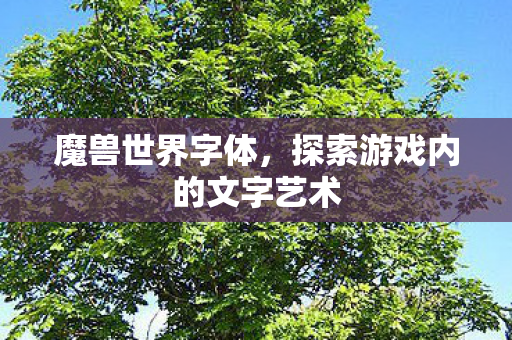 魔兽世界字体，探索游戏内的文字艺术