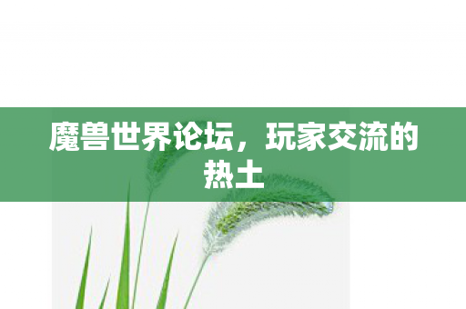 魔兽世界论坛，玩家交流的热土