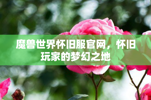 魔兽世界怀旧服官网，怀旧玩家的梦幻之地