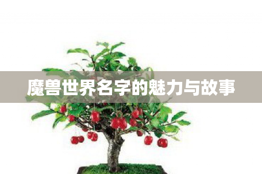 魔兽世界名字的魅力与故事