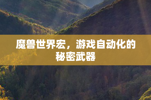 魔兽世界宏，游戏自动化的秘密武器