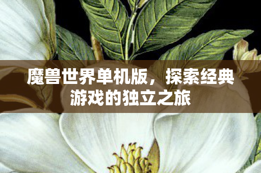 魔兽世界单机版，探索经典游戏的独立之旅