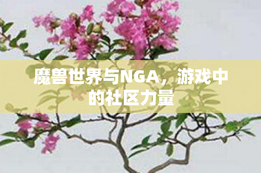 魔兽世界与NGA，游戏中的社区力量