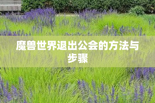 魔兽世界退出公会的方法与步骤 魔兽世界退出公会的方法与步骤