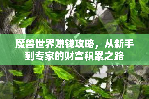 魔兽世界赚钱攻略，从新手到专家的财富积累之路