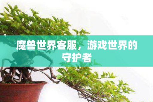 魔兽世界客服,游戏世界的守护者 魔兽世界客服,游戏世界的守护者