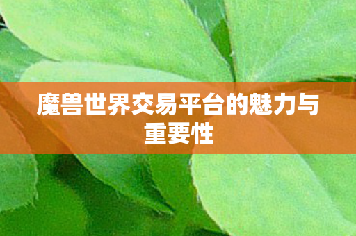 魔兽世界交易平台的魅力与重要性