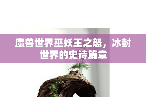 魔兽世界巫妖王之怒，冰封世界的史诗篇章