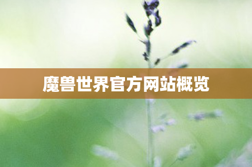 魔兽世界官方网站概览
