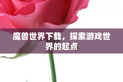 魔兽世界下载，探索游戏世界的起点