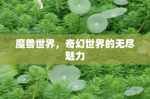 魔兽世界，奇幻世界的无尽魅力