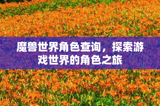 魔兽世界角色查询,探索游戏世界的角色之旅 魔兽世界角色查询,探索游戏世界的角色之旅