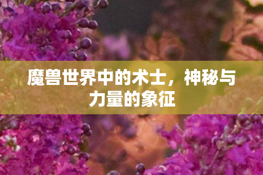 魔兽世界中的术士,神秘与力量的象征 魔兽世界中的术士,神秘与力量的象征