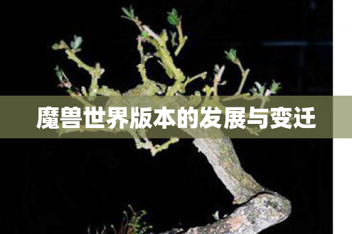 魔兽世界版本的发展与变迁 魔兽世界版本的发展与变迁