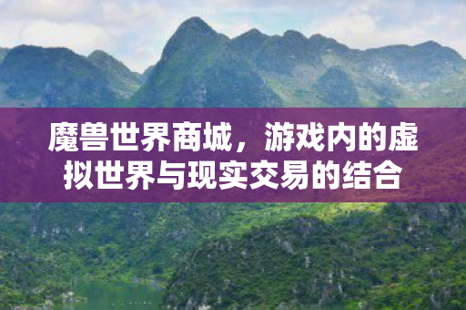 魔兽世界商城,游戏内的虚拟世界与现实交易的结合 魔兽世界商城,游戏内的虚拟世界与现实交易的结合