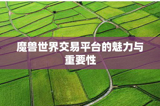 魔兽世界交易平台的魅力与重要性