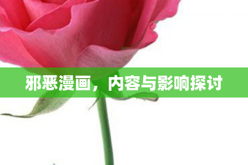 邪恶漫画，内容与影响探讨