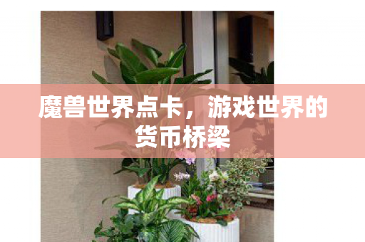 魔兽世界点卡，游戏世界的货币桥梁