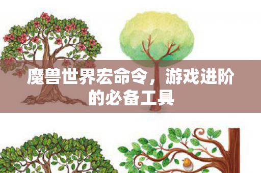 魔兽世界宏命令，游戏进阶的必备工具