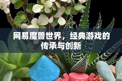 网易魔兽世界，经典游戏的传承与创新