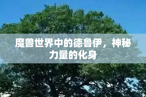 魔兽世界中的德鲁伊，神秘力量的化身