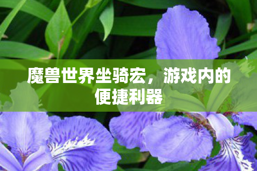 魔兽世界坐骑宏，游戏内的便捷利器