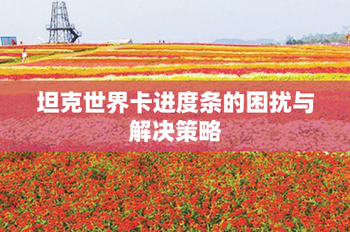 坦克世界卡进度条的困扰与解决策略