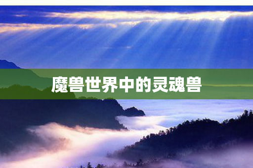 魔兽世界中的灵魂兽