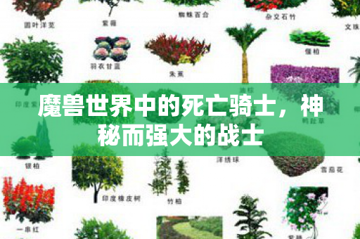 魔兽世界中的死亡骑士,神秘而强大的战士 魔兽世界中的死亡骑士,神秘而强大的战士